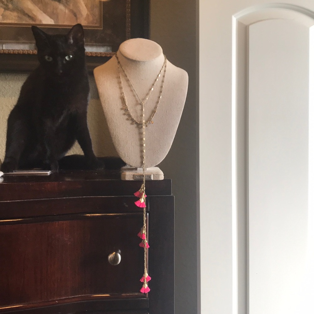 Stella & Dot tassel Necklace